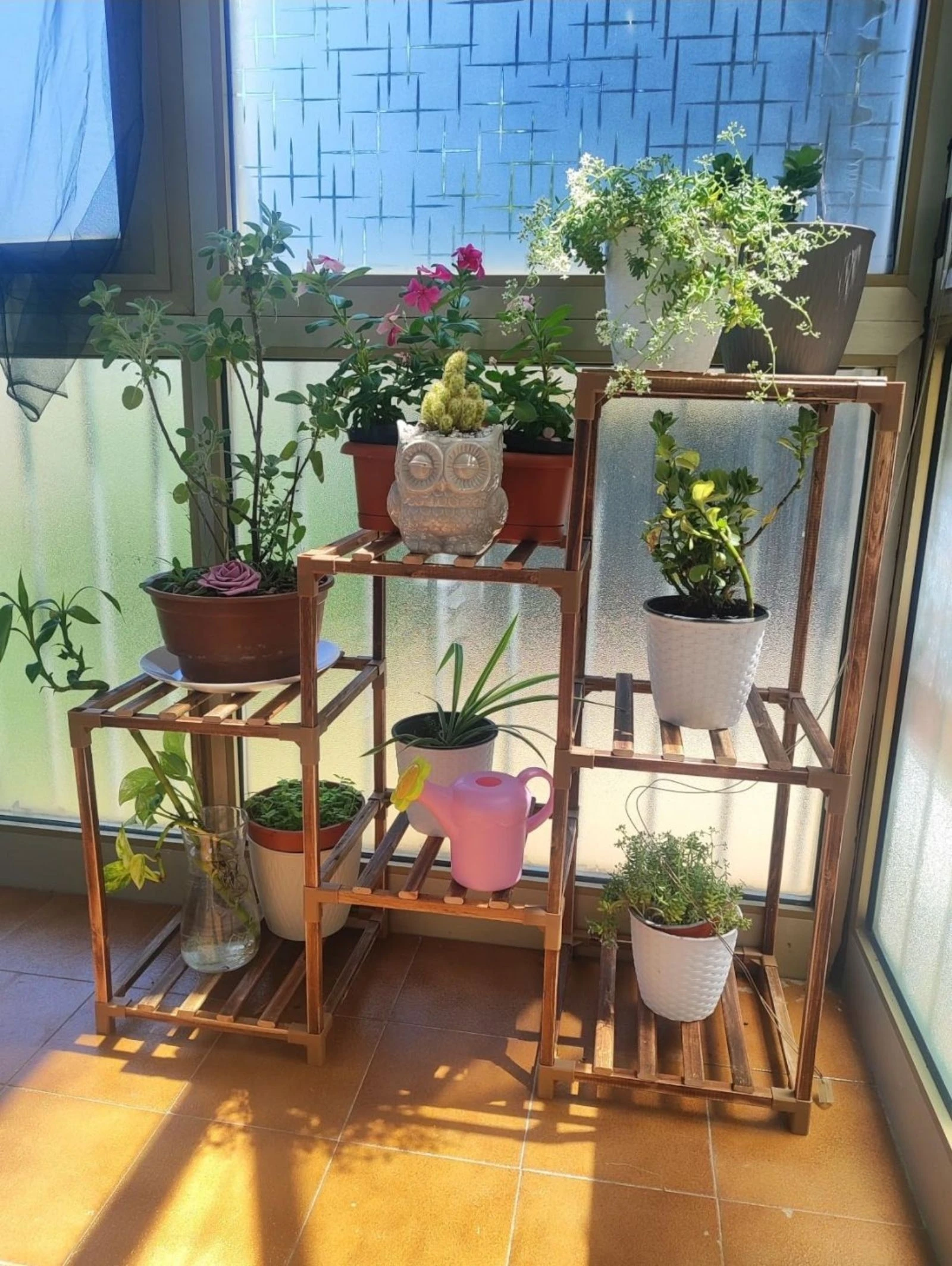 Suporte para plantas novo e embalado